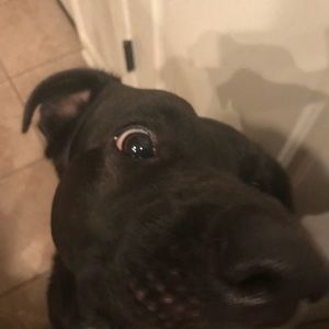 Meet your Posher, Jo